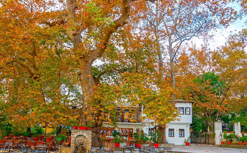 Πορταριά, Πήλιο Πορταριά, Πήλιο