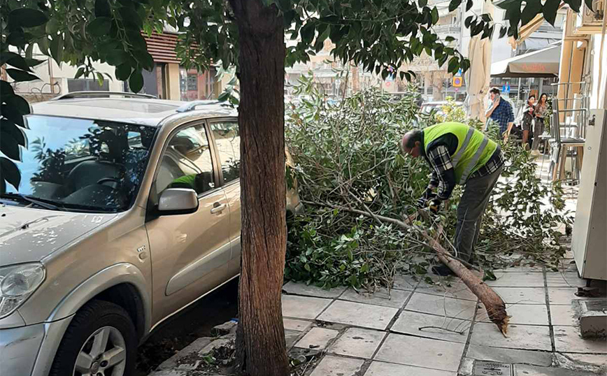 Οι ισχυροί άνεμοι έριξαν δέντρα στη Θεσσαλονίκη