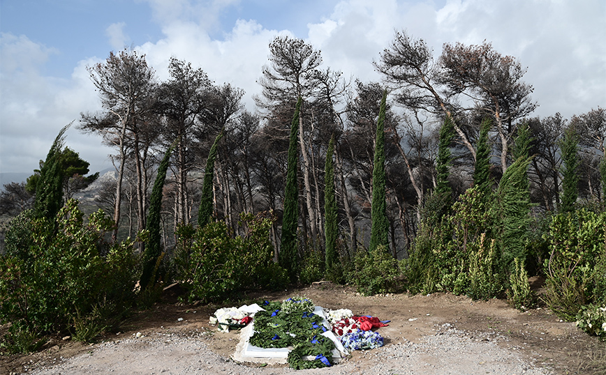 Τέως βασιλιάς Κωνσταντίνος Τέως βασιλιάς Κωνσταντίνος