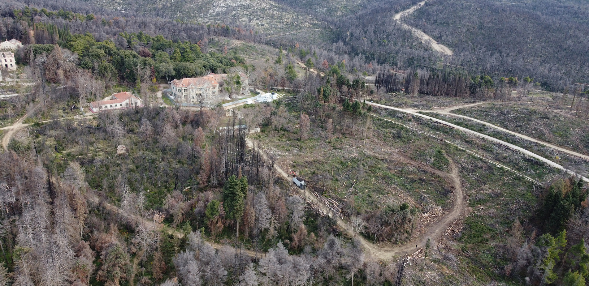 Το σχέδιο αξιοποίησης των θερινών ανακτόρων στο Τατόι