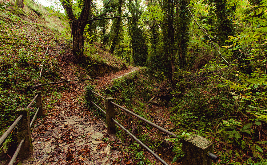 Τσαγκαράδα Τσαγκαράδα