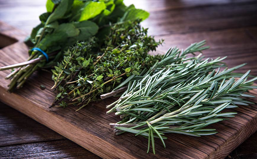 φρέσκα βότανα φρέσκα βότανα