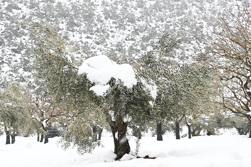 Πολική «μπάλα» από Ιταλία έρχεται για να αλλάξει το σκηνικό του καιρού στην Ελλάδα &#8211; Η ανάρτηση του Κλέαρχου Μαρουσάκη