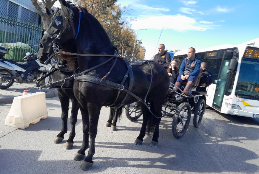 Zootechnia: Στους κεντρικούς δρόμους της Θεσσαλονίκης θα καλπάσουν αύριο 30 άλογα διαφόρων φυλών