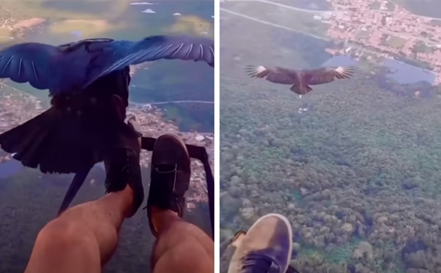 Η πιο ξεχωριστή παρέα πετώντας με παρά πέντε