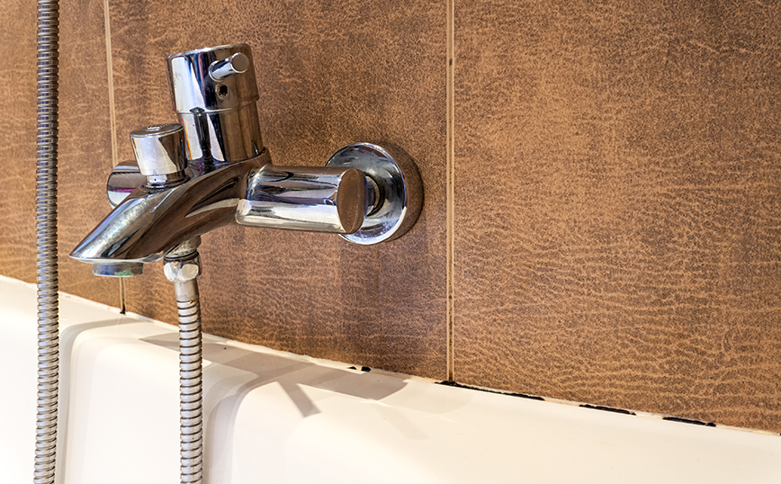 Μούχλα στο μπάνιο Μούχλα στο μπάνιο