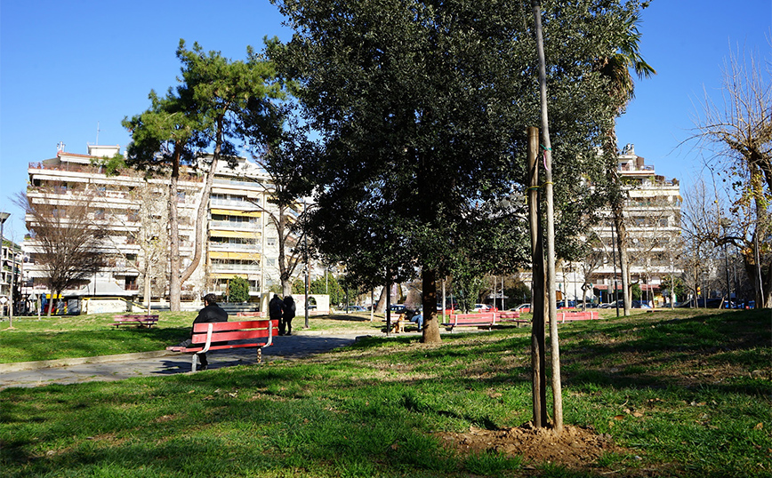 Θεσσαλονίκη: Αλλάζει όψη η οδός Κρήτης και τα δύο πάρκα της περιοχής &#8211; Φυτεύτηκαν 250 νέα δέντρα