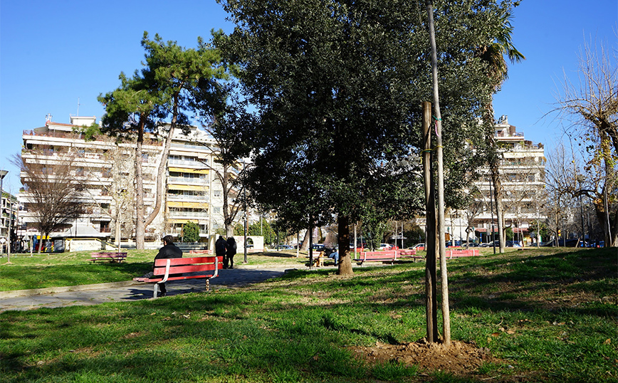 Θεσσαλονίκη: Αλλάζει όψη η οδός Κρήτης και τα δύο πάρκα της περιοχής – Φυτεύτηκαν 250 νέα δέντρα