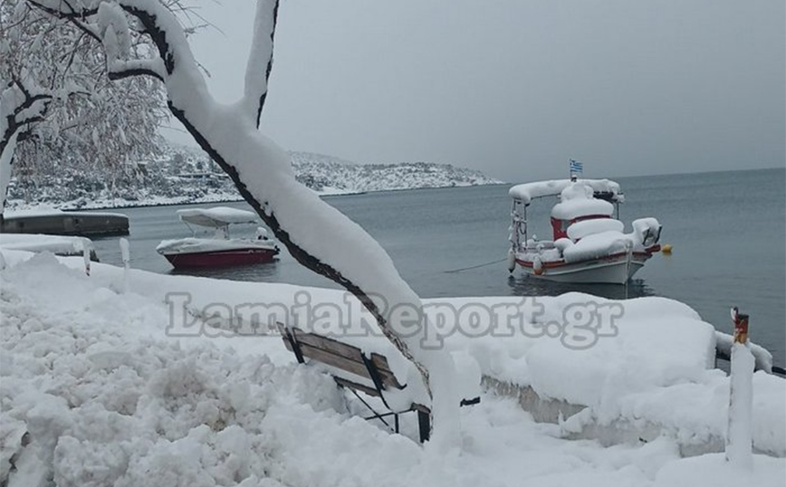 Κακοκαιρία Μπάρμπαρα: Σε λευκό κλοιό η Φθιώτιδα &#8211; Χιόνι μέχρι και τις βάρκες