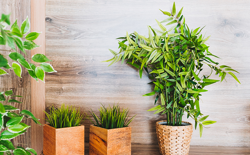 ψεύτικα φυτά ψεύτικα φυτά