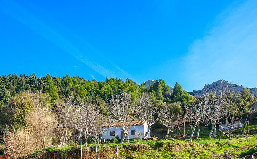 Καμπιά, Εύβοια Καμπιά, Εύβοια