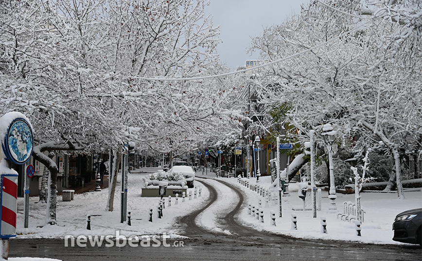 Χιόνια στην Κηφισιά: Δείτε φωτογραφίες του Newsbeast με το λευκό τοπίο