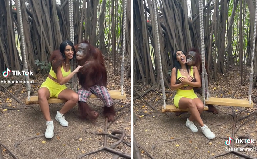 Ταϊλάνδη: Πίθηκος φίλησε τουρίστρια και έπιασε το στήθος της