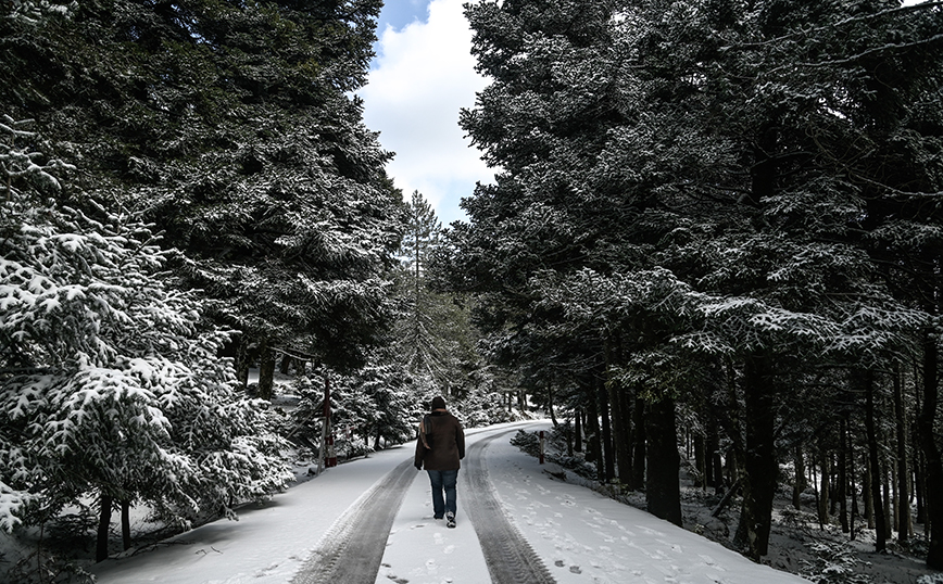 Χιόνια στην Πάρνηθα Χιόνια στην Πάρνηθα