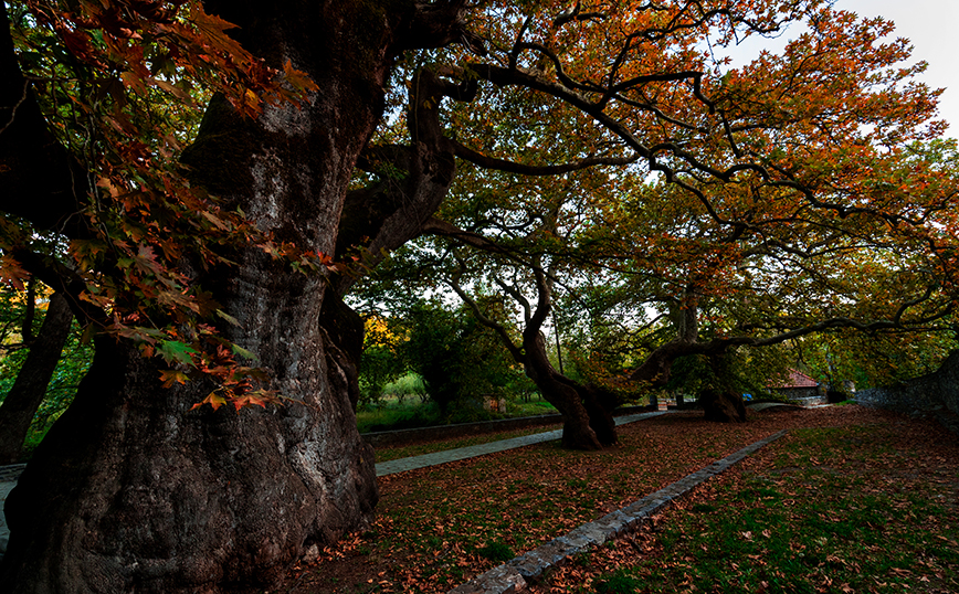 Καρυές, Λακωνία