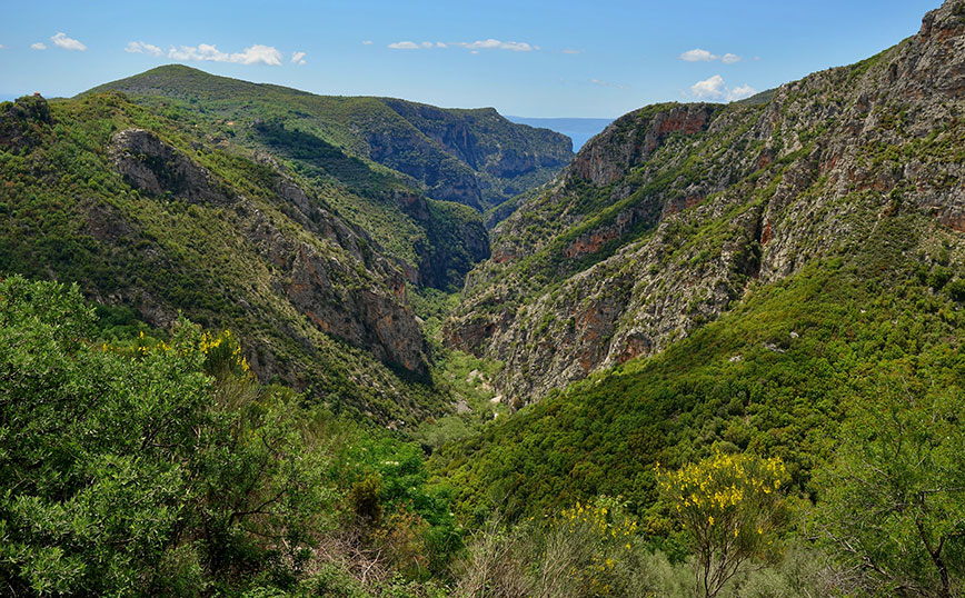 Φαράγγι Ριντόμου, Μεσσηνία