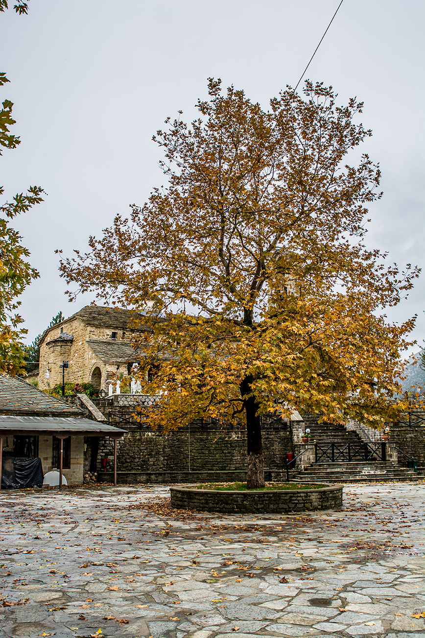 Ροδαυγή, Άρτα Ροδαυγή, Άρτα