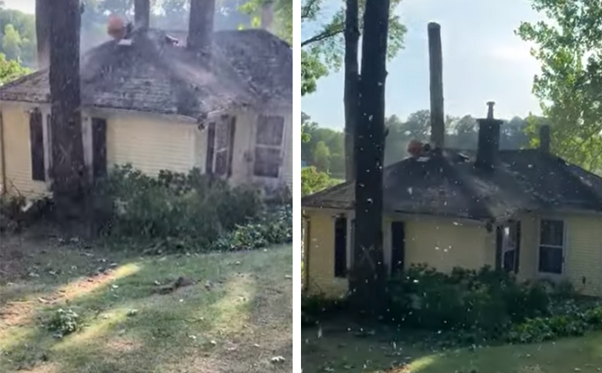 Κατεδάφιση σπιτιού και κοπή δέντρου δύο σε ένα