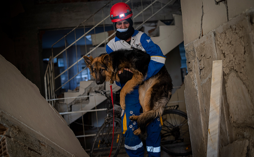 Σεισμός στην Τουρκία: Ειδικές δυνάμεις προσπαθούν να σώσουν ζώα που έχουν εγκλωβιστεί σε κτίριο που θα κατεδαφιστεί