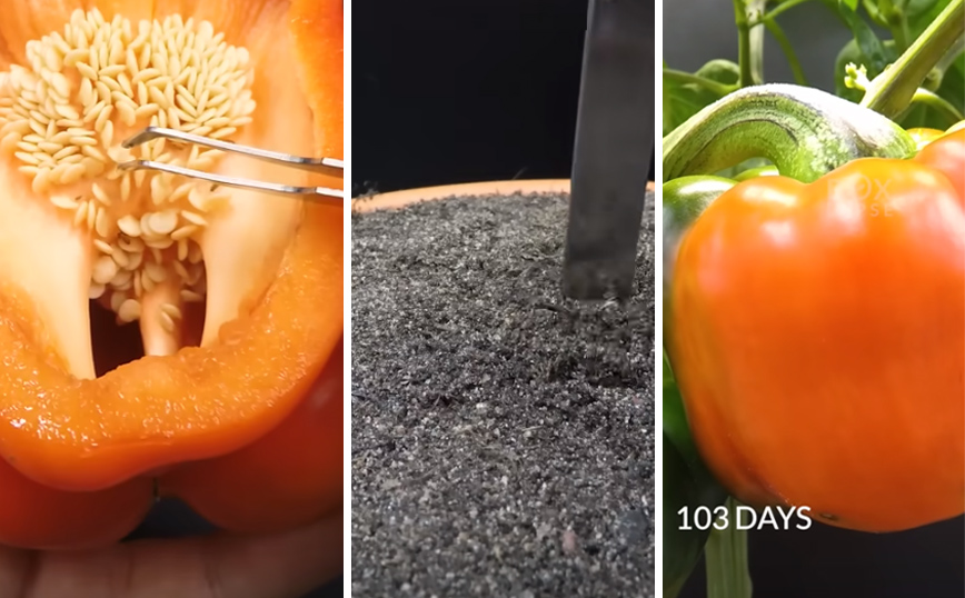 Τι συμβαίνει μέσα σε 115 μέρες μέσα σε 41 δευτερόλεπτα