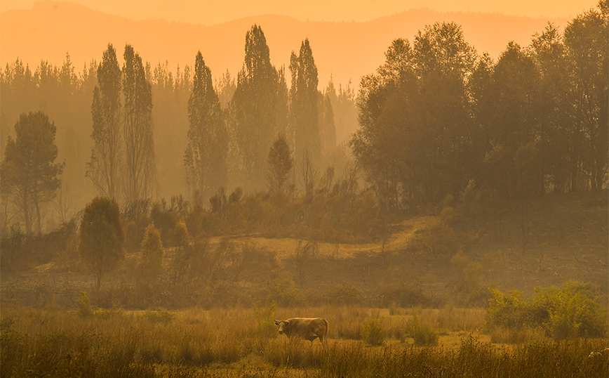 Πυρκαγιές στη Χιλή Πυρκαγιές στη Χιλή