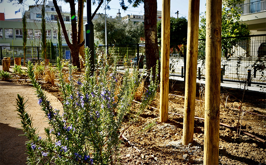 πάρκο τσέπης Θεσσαλονίκη πάρκο τσέπης Θεσσαλονίκη