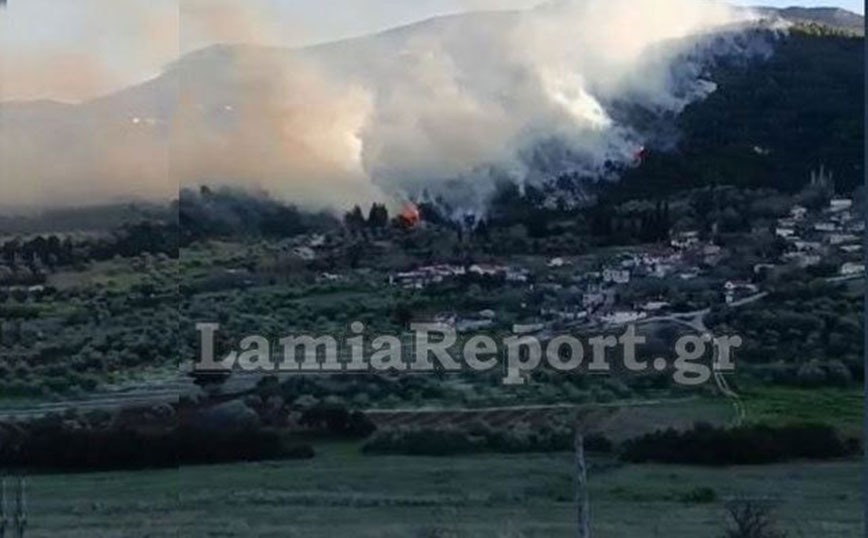 Μεγάλη φωτιά στη Μενδενίτσα &#8211; Οριοθετήθηκε η πυρκαγιά