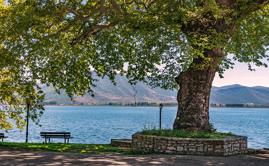 Λίμνη Ορεστιάδα, Καστοριά