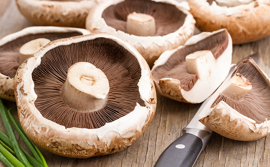 μανιτάρια πορτομπέλο μανιτάρια πορτομπέλο