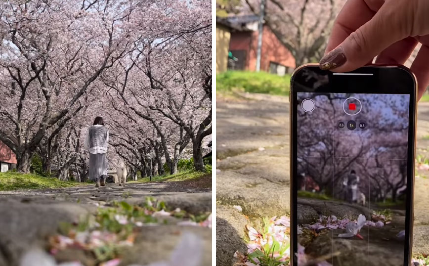 Έτσι βγαίνουν μερικά από τα viral βίντεο των social media