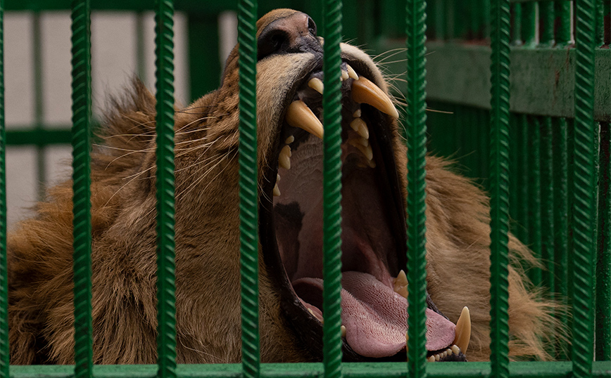 Πόλεμος στην Ουκρανία Πόλεμος στην Ουκρανία