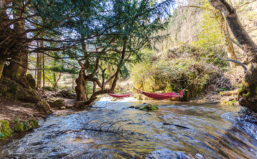 Παύλιανη, Φθιώτιδα Παύλιανη, Φθιώτιδα