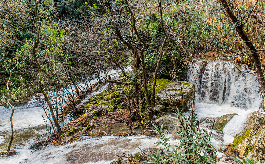 Πολυλίμνιο Πολυλίμνιο