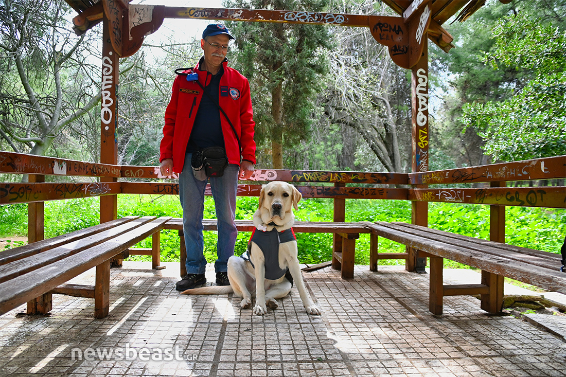 Sugar σκύλος διασώστης