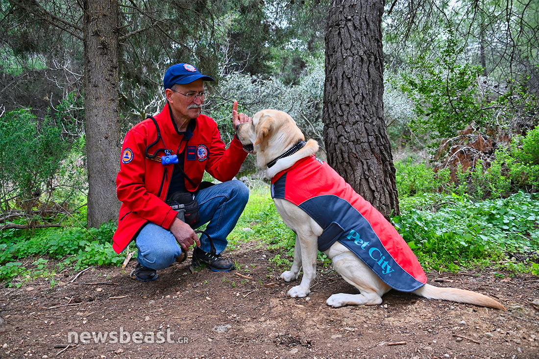 Sugar σκύλος διασώστης