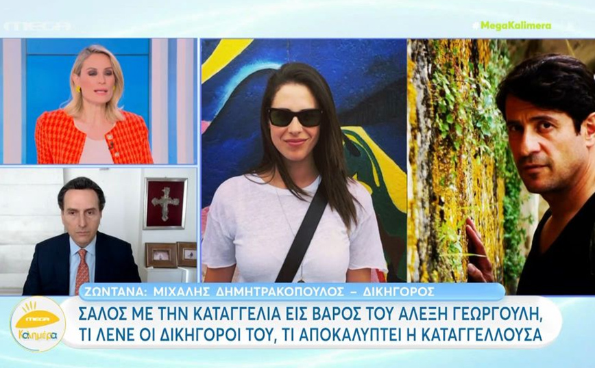 Αλέξης Γεωργούλης – Δημητρακόπουλος: Είναι πέρα για πέρα βέβαιο ότι είχε ενημερωθεί για την έρευνα