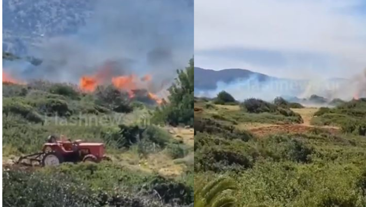 Φωτιά τώρα στα Μάλια &#8211; Οι φλόγες ξέφυγαν λόγω των ισχυρών ανέμων