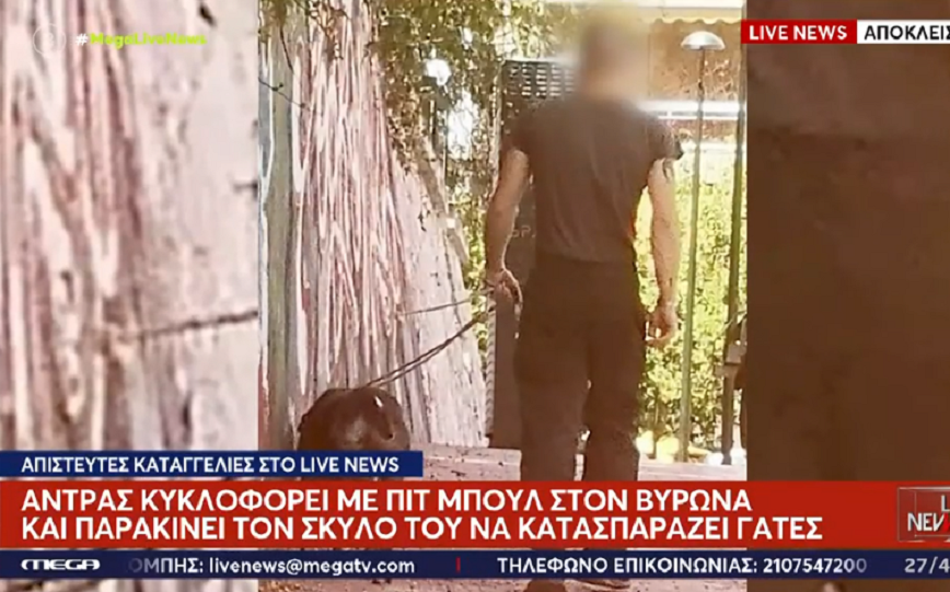 Βάζει πίτμπουλ να ξεκοιλιάζει γάτες και τις πετάει στα σκουπίδια – Σοκαριστικές περιγραφές