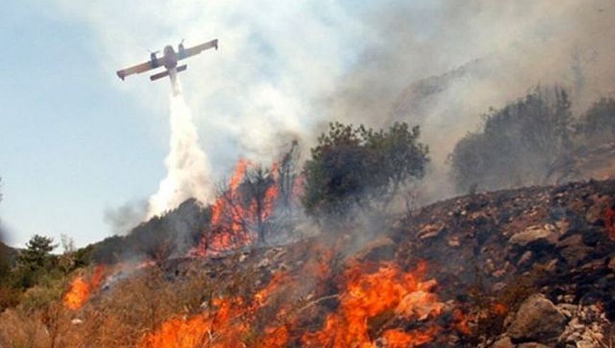 Φθιώτιδα: Συναγερμός για φωτιά σε τέσσερα διαφορετικά σημεία