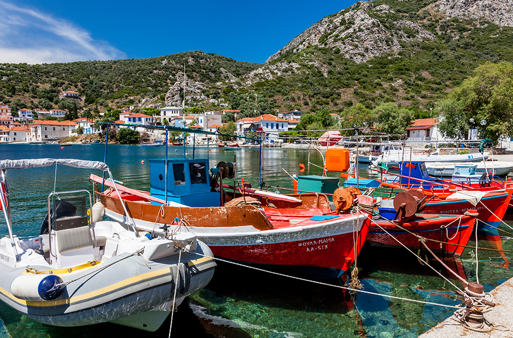 Παλαιό Τρίκερι: Ένα μικροσκοπικό νησάκι στον Παγασητικό σκέτο όνειρο