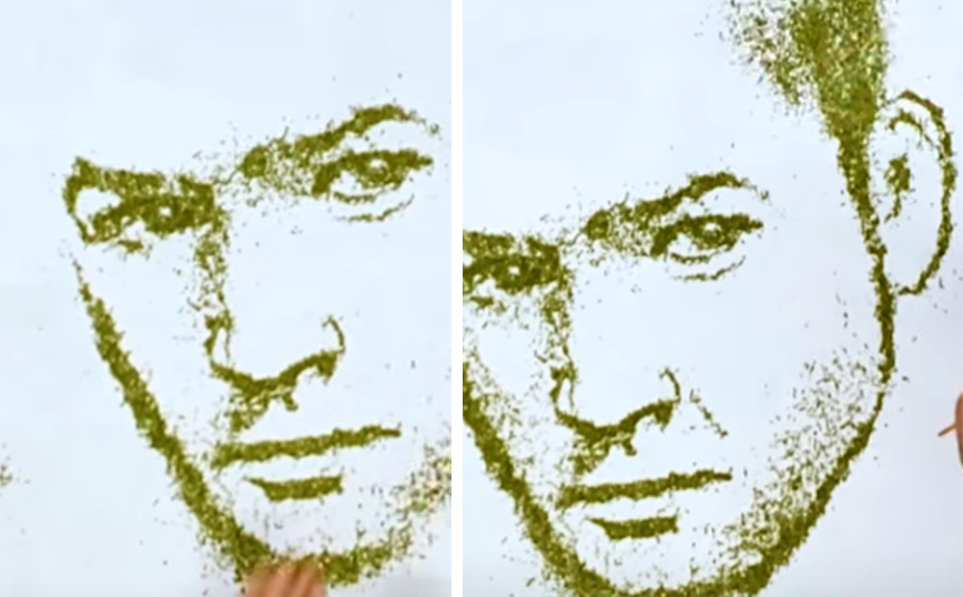 Φτιάχνοντας ένα πορτρέτο από&#8230; βότανα