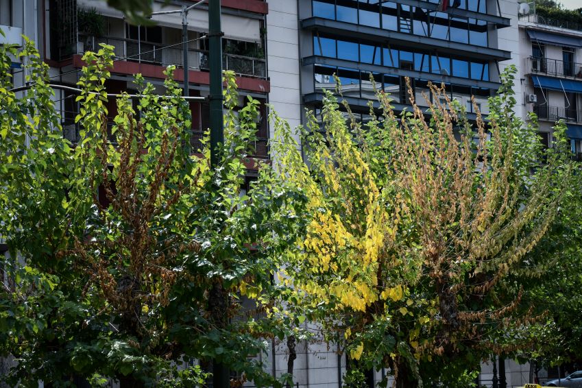 Νέοι χώροι πρασίνου στα Σεπόλια και τη Ριζούπολη