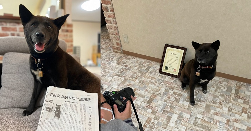 Ιαπωνία: Σκύλος «έσωσε» 50χρονο άνδρα που υπέστη καρδιακό επεισόδιο