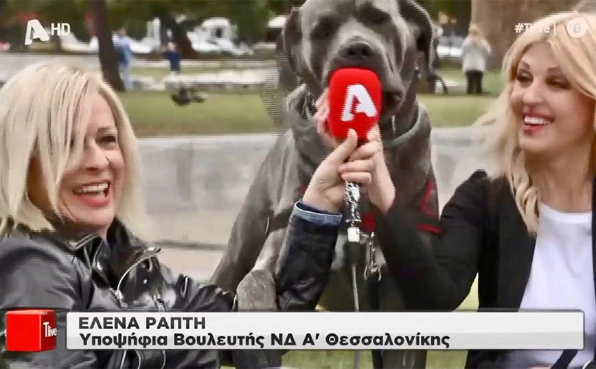 Η Έλενα Ράπτη φιλοξενήθηκε στην εκπομπή «Tlive», στον τηλεοπτικό σταθμό Alpha με την Τατιάνα Στεφανίδου