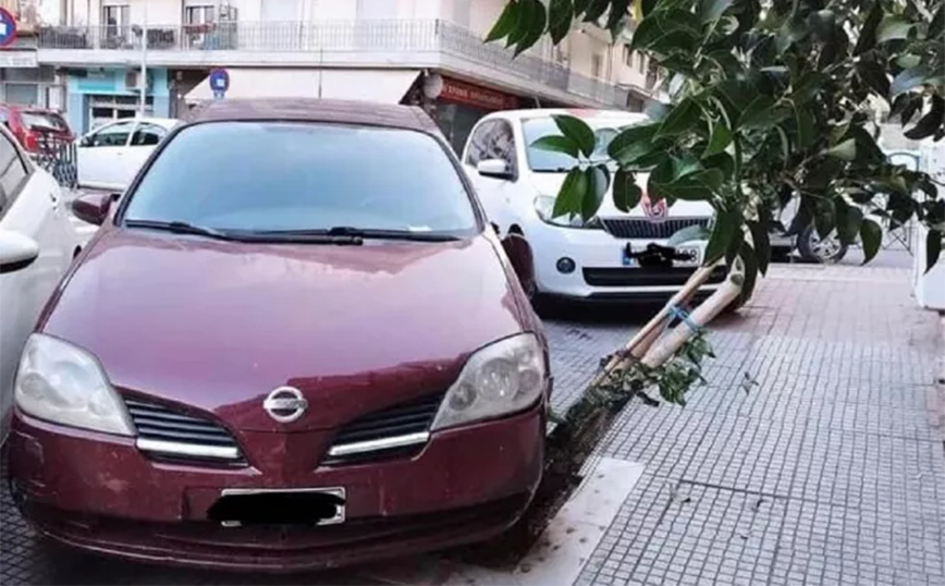 Πάρκαρε το αυτοκίνητό του πάνω σε κορμό δέντρου και τον μήνυσε ο Δήμος Θεσσαλονίκης
