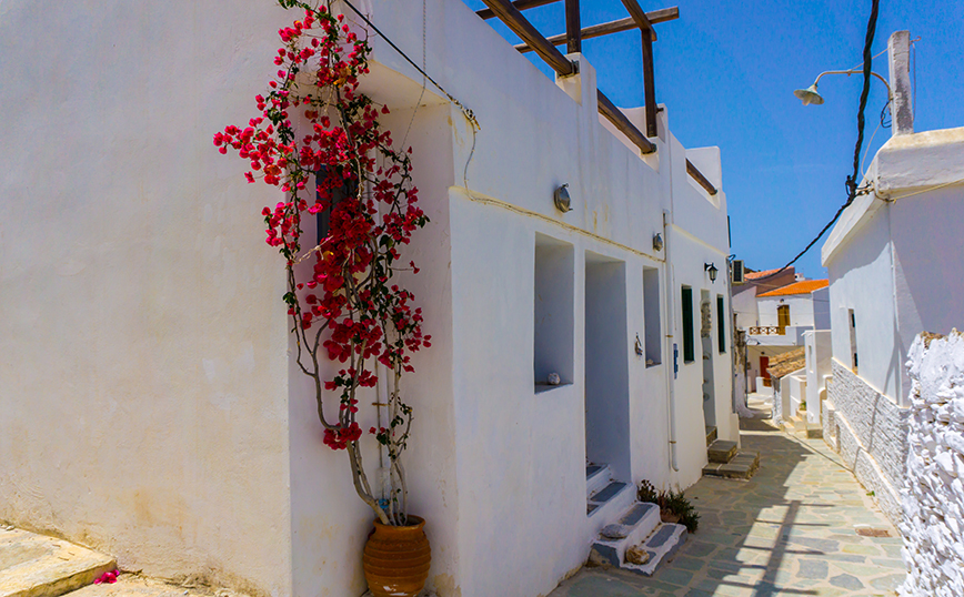 Δρυοπίδα Δρυοπίδα