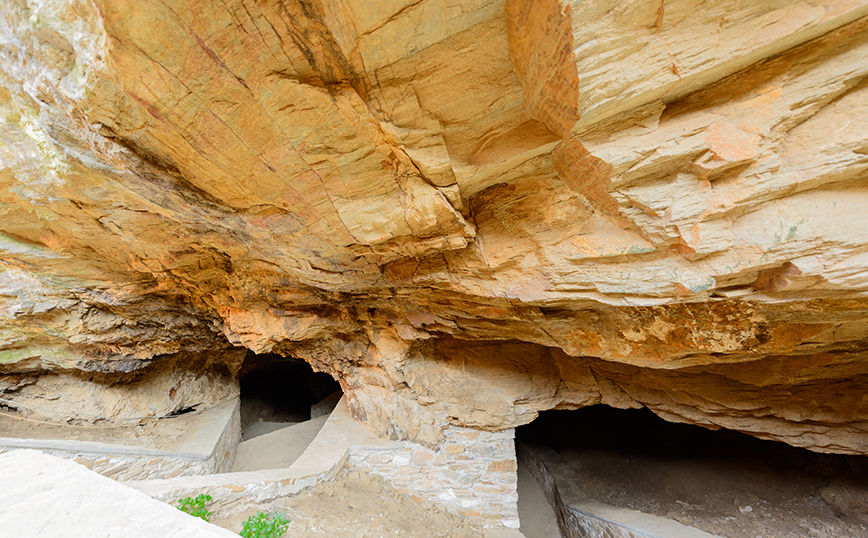 Δρυοπίδα Δρυοπίδα