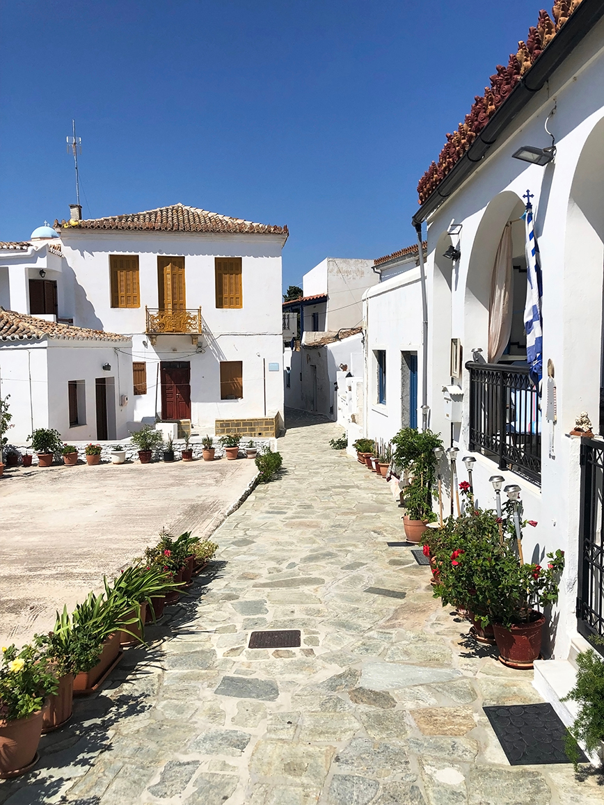 Δρυοπίδα Δρυοπίδα