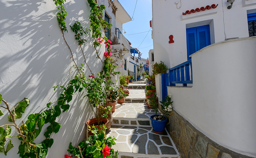 Δρυοπίδα Δρυοπίδα