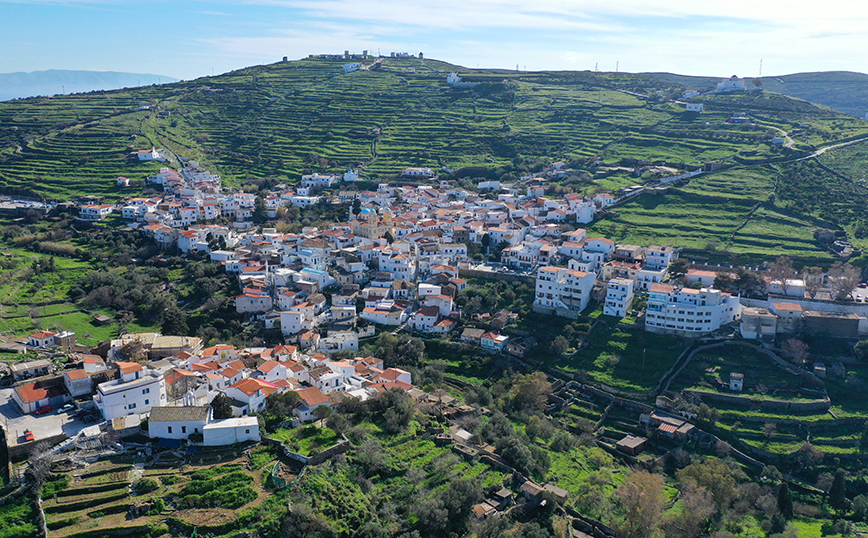 Δρυοπίδα Δρυοπίδα